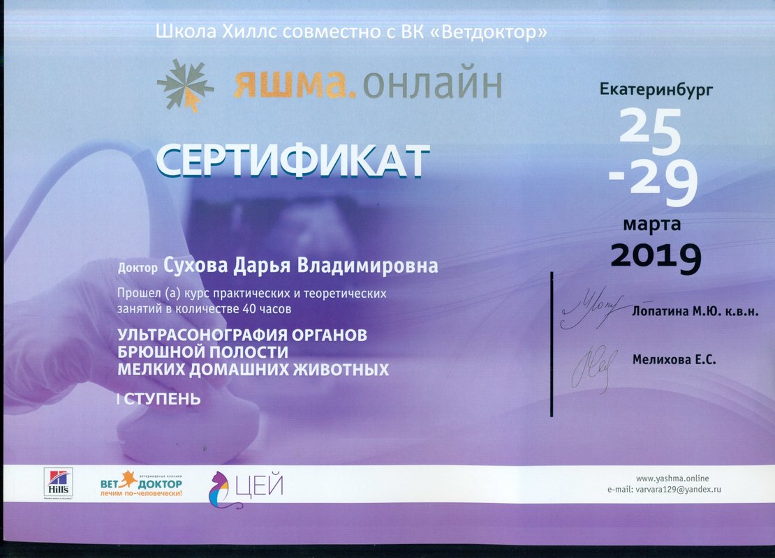 Документ или сертификат