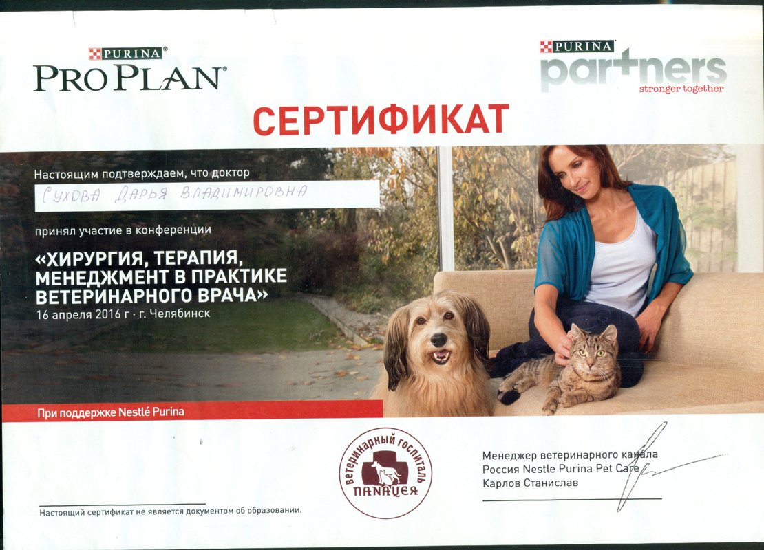Документ или сертификат