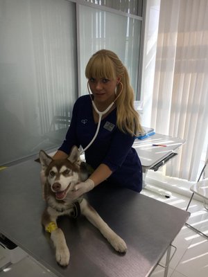 Фото врача Белова Инна Андреевна
