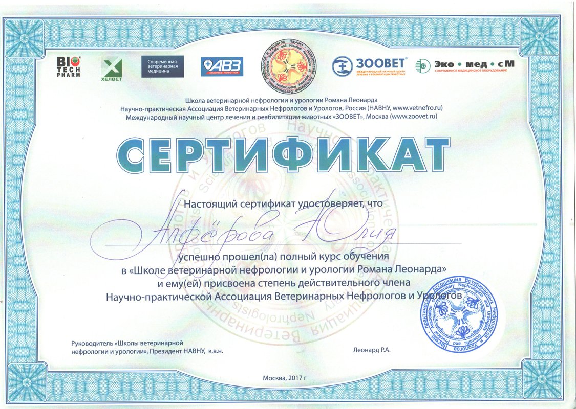 Документ или сертификат