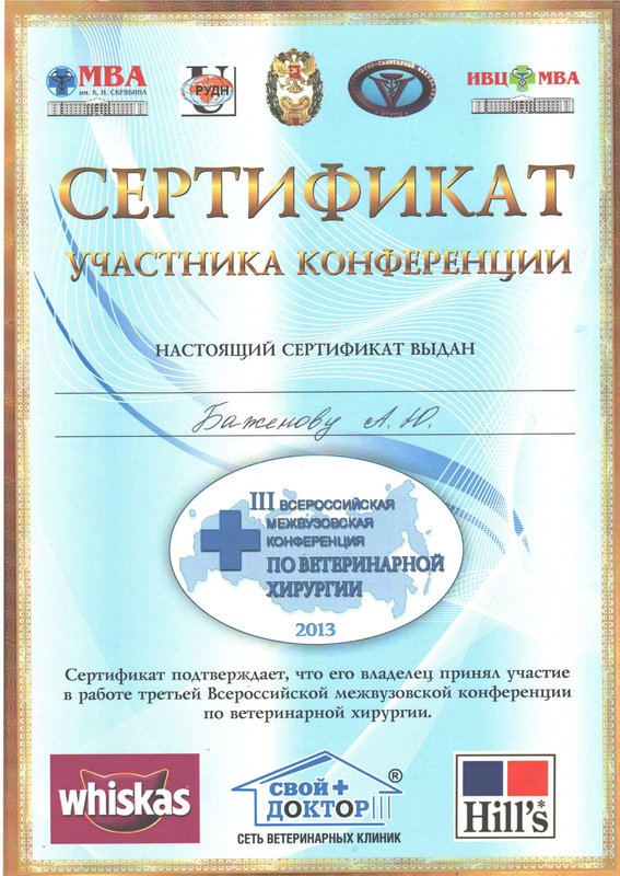 Документ или сертификат