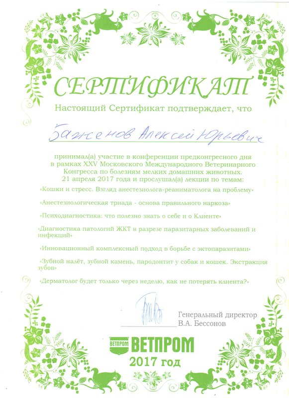 Документ или сертификат