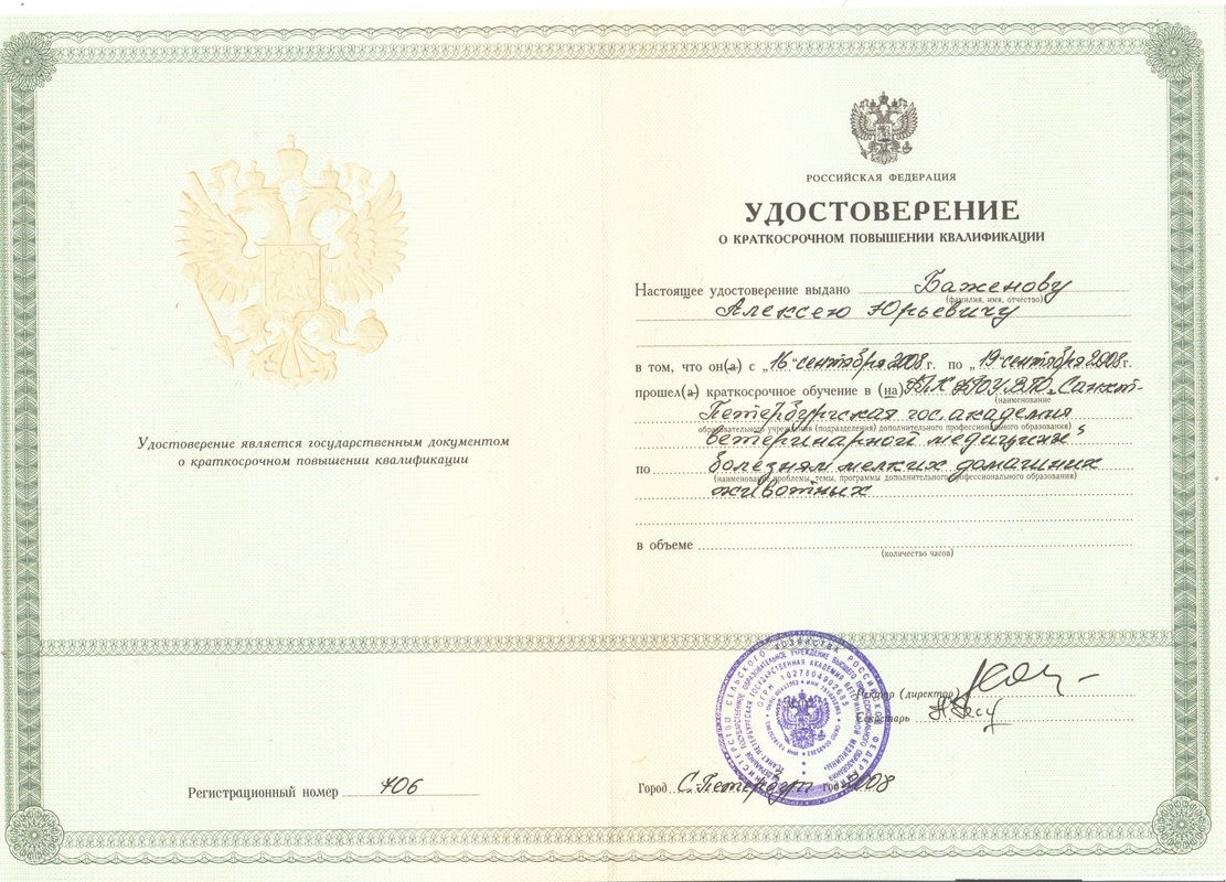 Документ или сертификат