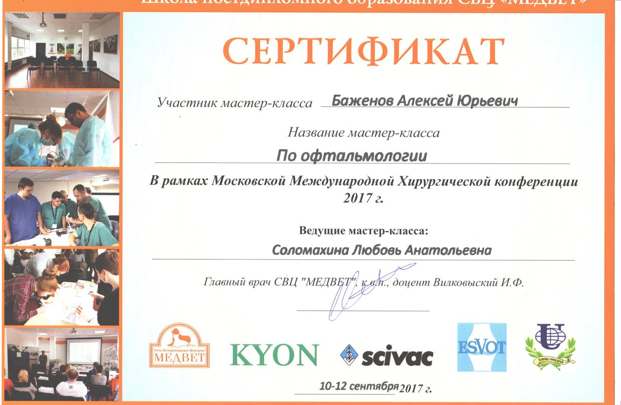 Документ или сертификат
