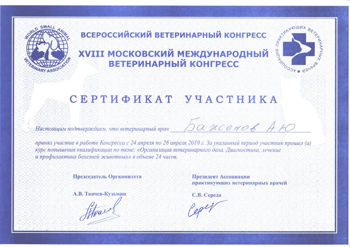 Документ или сертификат