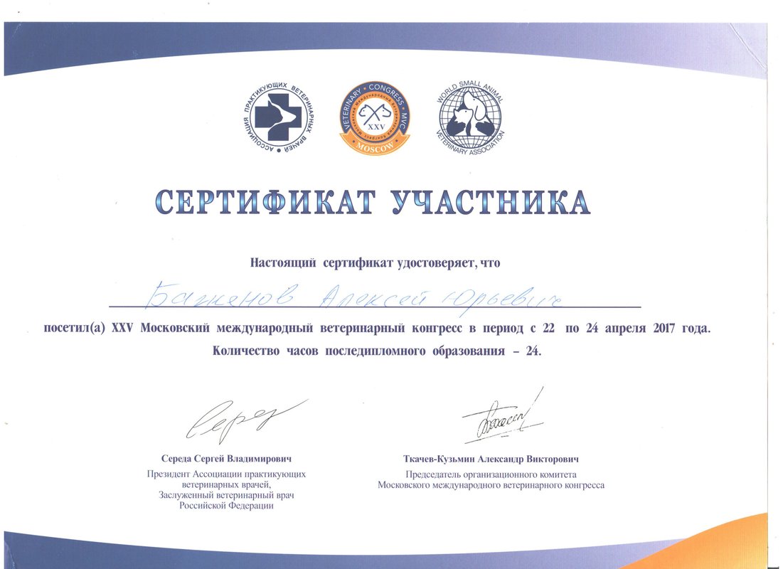 Документ или сертификат