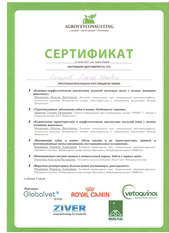 Документ или сертификат