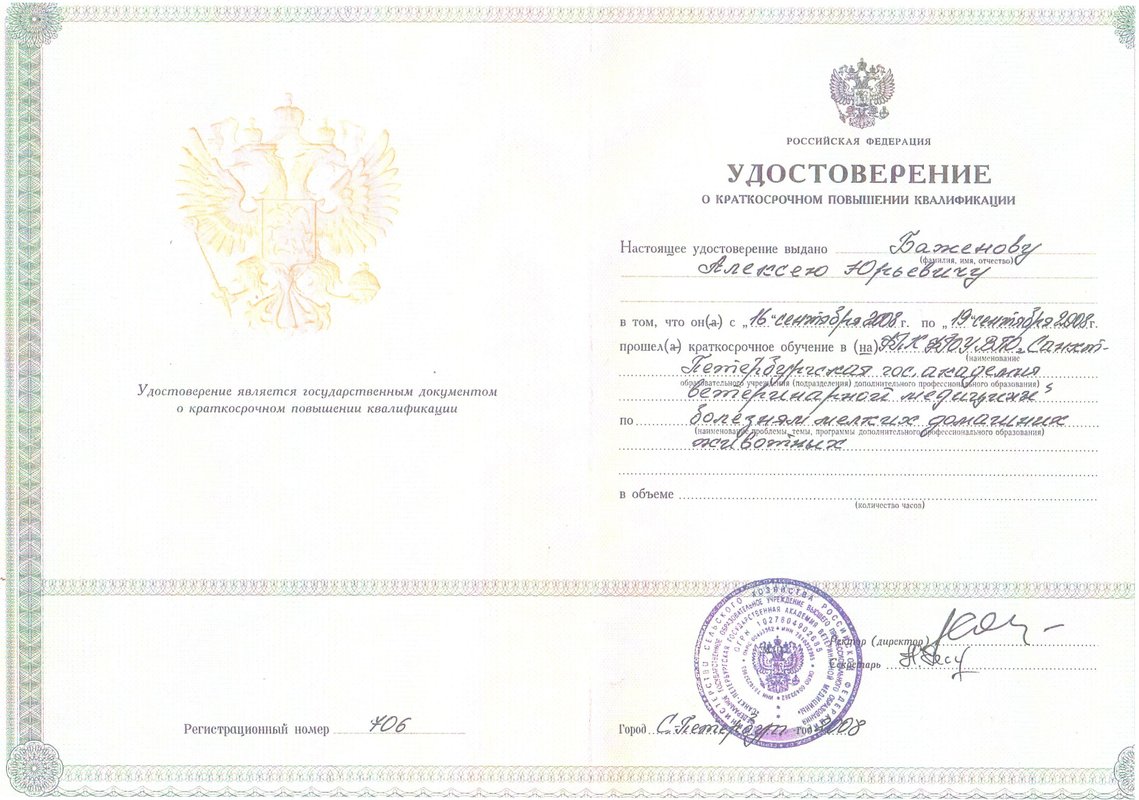 Документ или сертификат