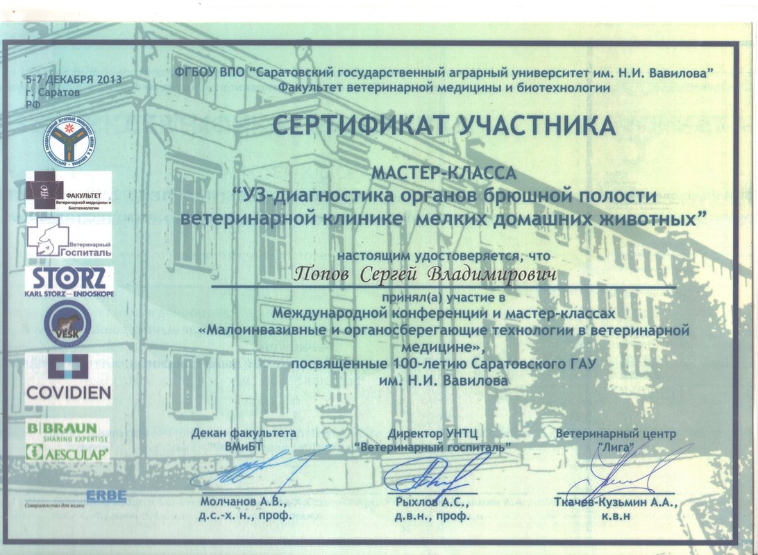 Документ или сертификат