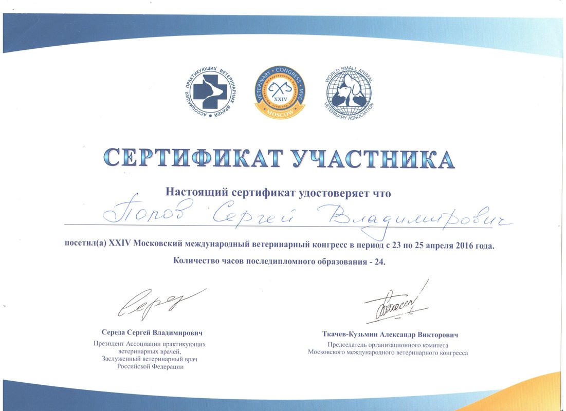 Документ или сертификат