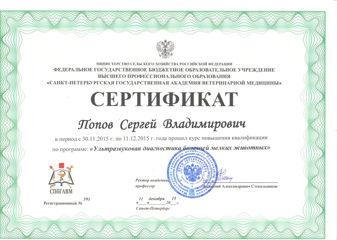 Документ или сертификат