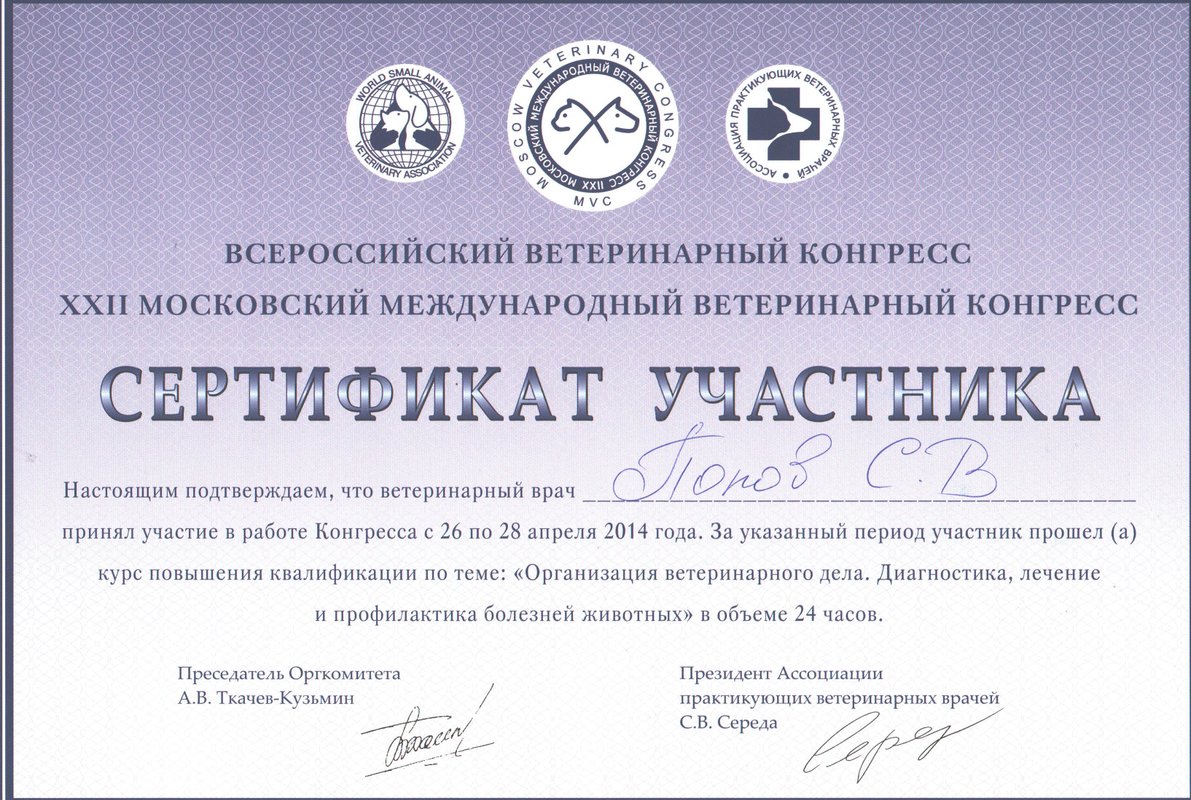 Документ или сертификат