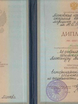Фото врача Шишкин Александр Вячеславович