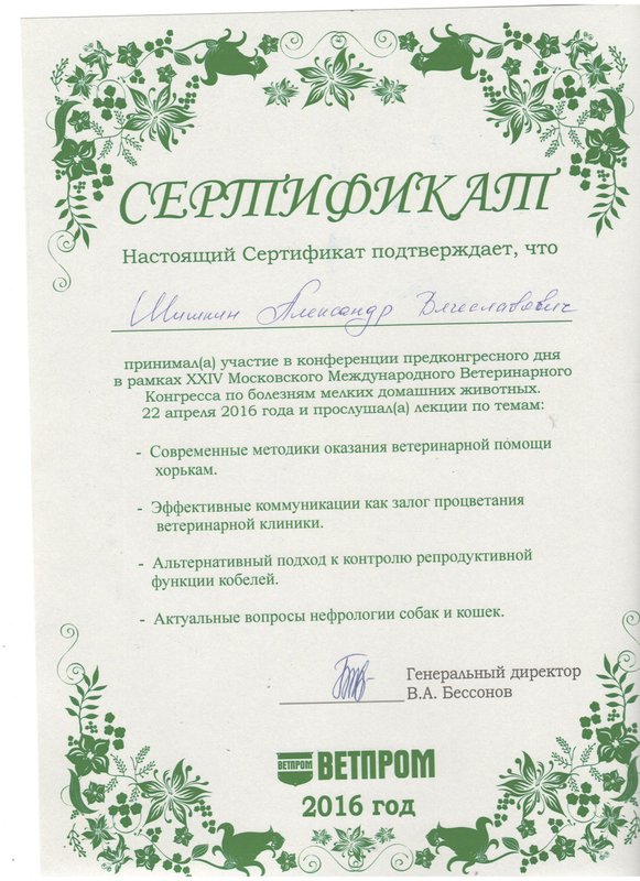 Документ или сертификат
