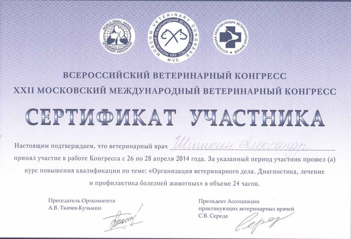 Документ или сертификат