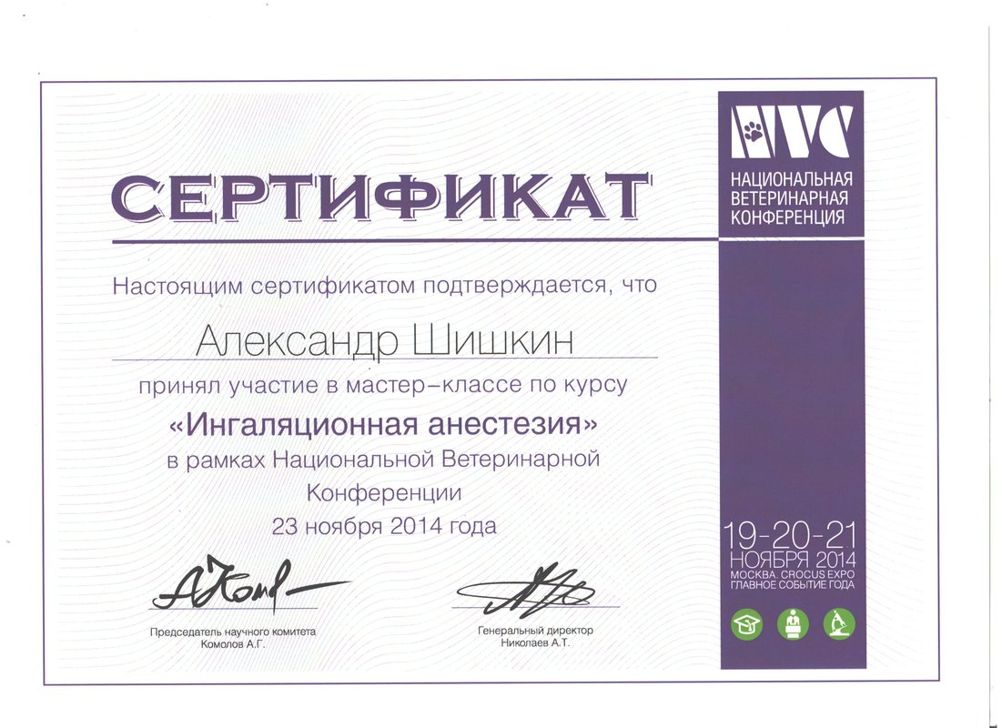 Документ или сертификат