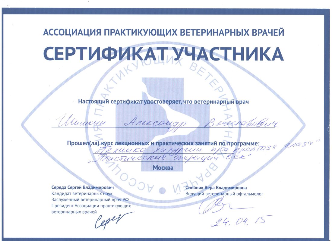 Документ или сертификат