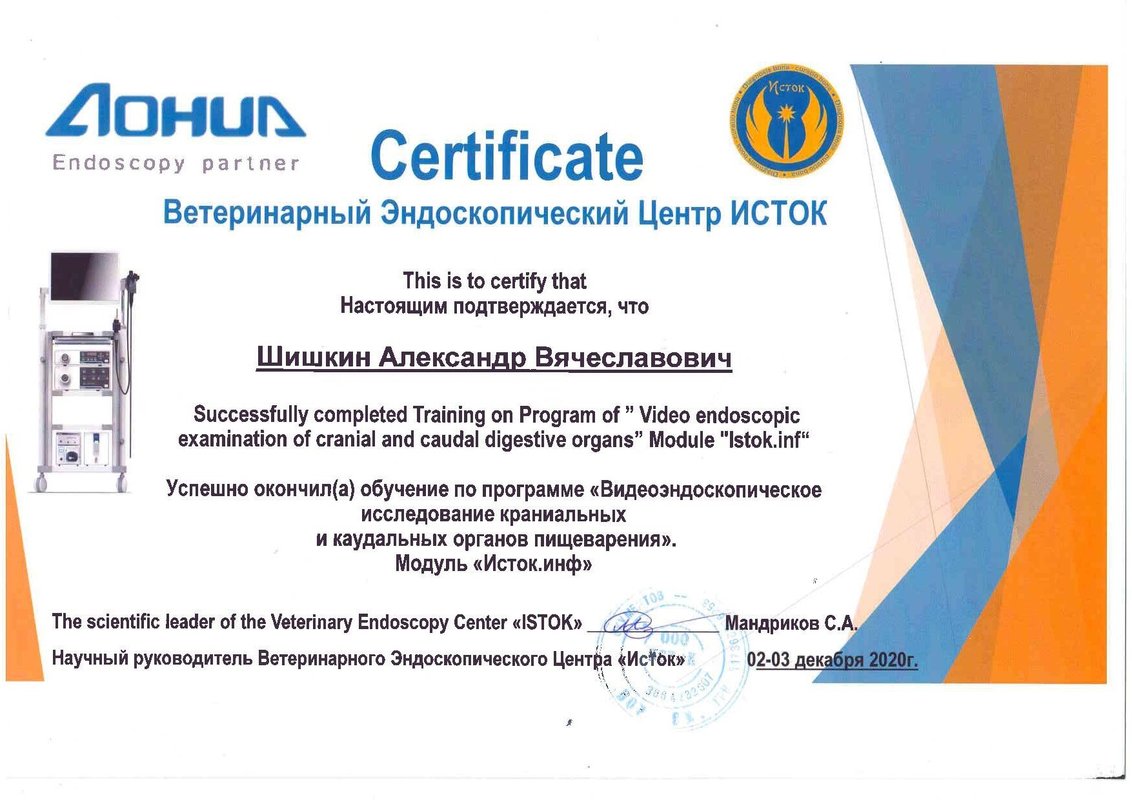 Документ или сертификат