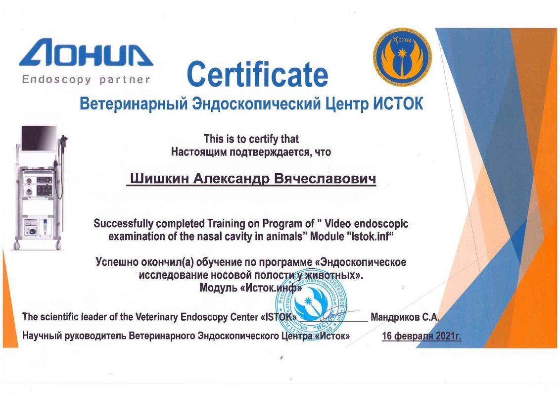 Документ или сертификат