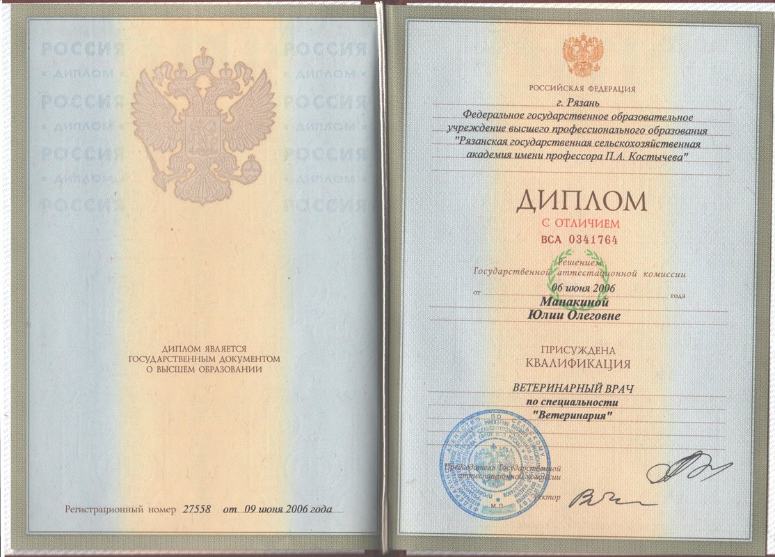 Документ или сертификат