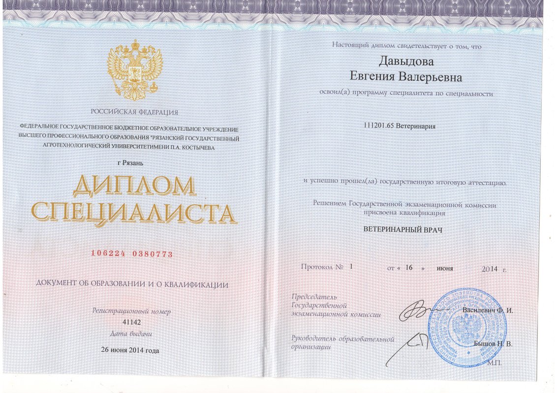 Документ или сертификат