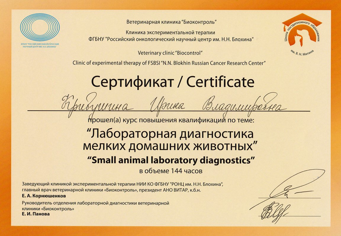 Документ или сертификат