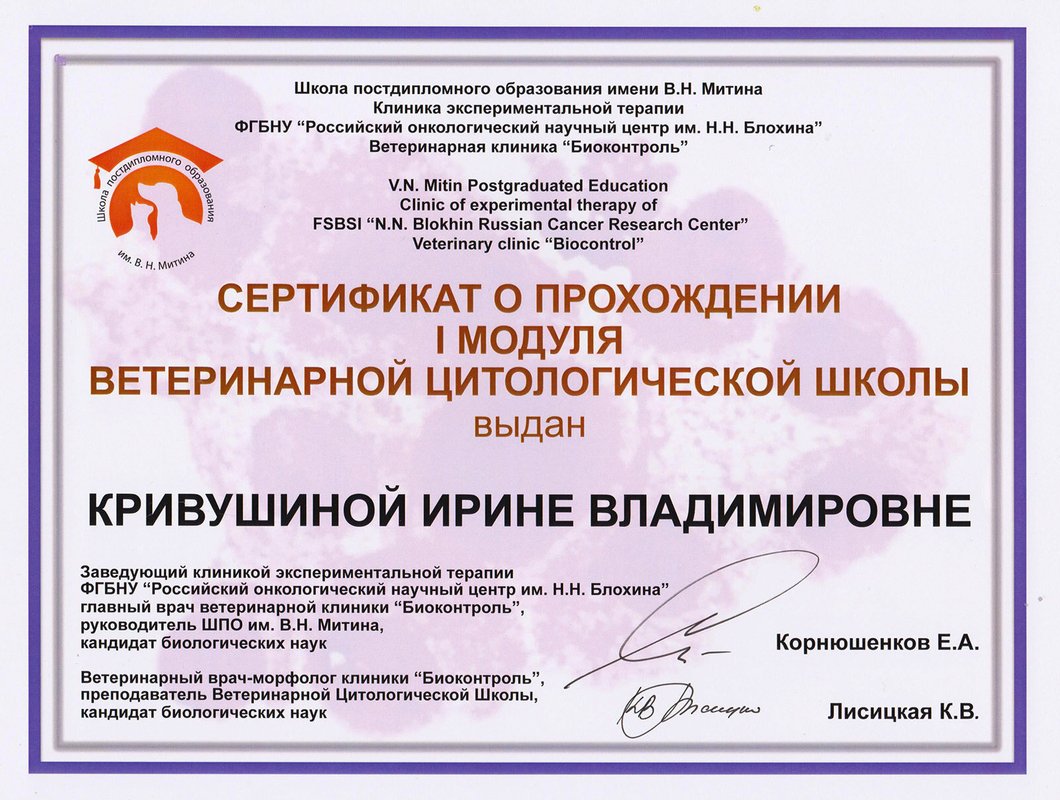 Документ или сертификат