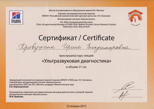 Документ или сертификат