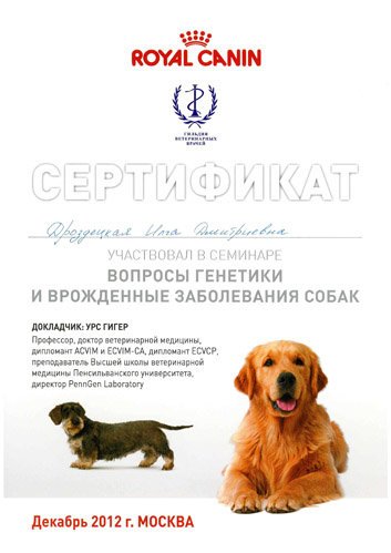 Документ или сертификат