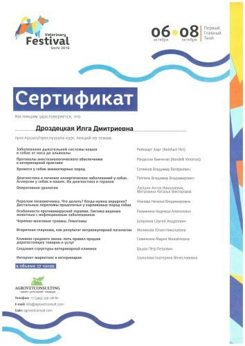 Документ или сертификат