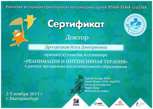 Документ или сертификат