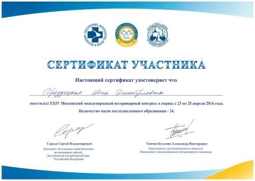 Документ или сертификат