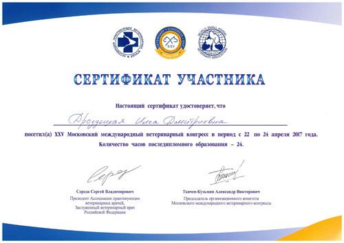 Документ или сертификат
