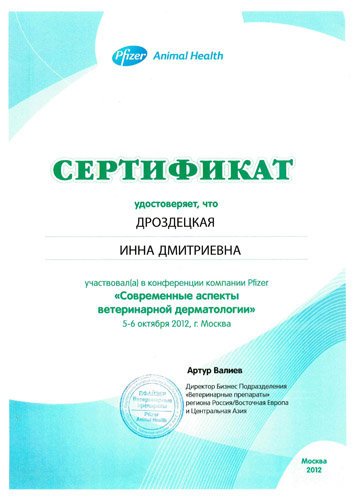 Документ или сертификат