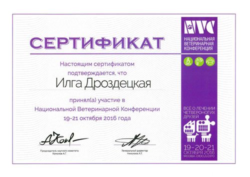 Документ или сертификат