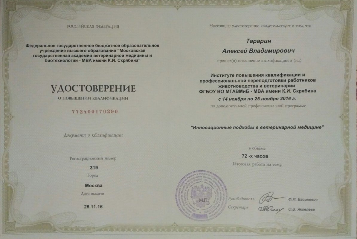 Документ или сертификат