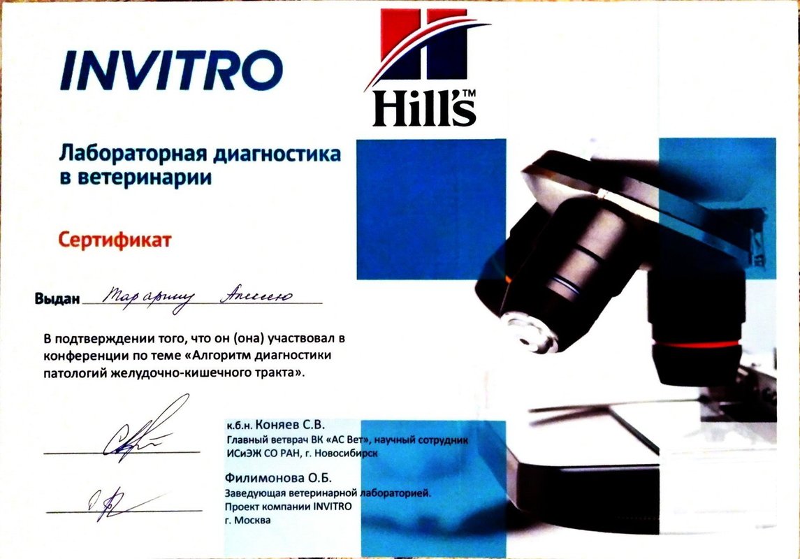 Документ или сертификат