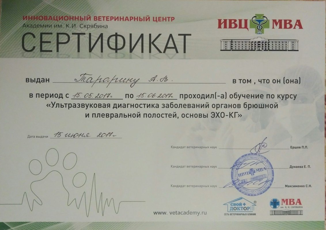 Документ или сертификат