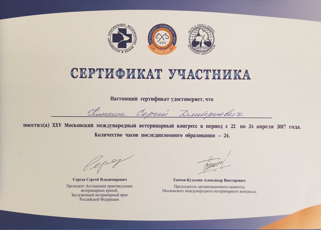 Документ или сертификат