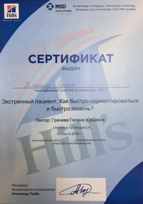 Документ или сертификат