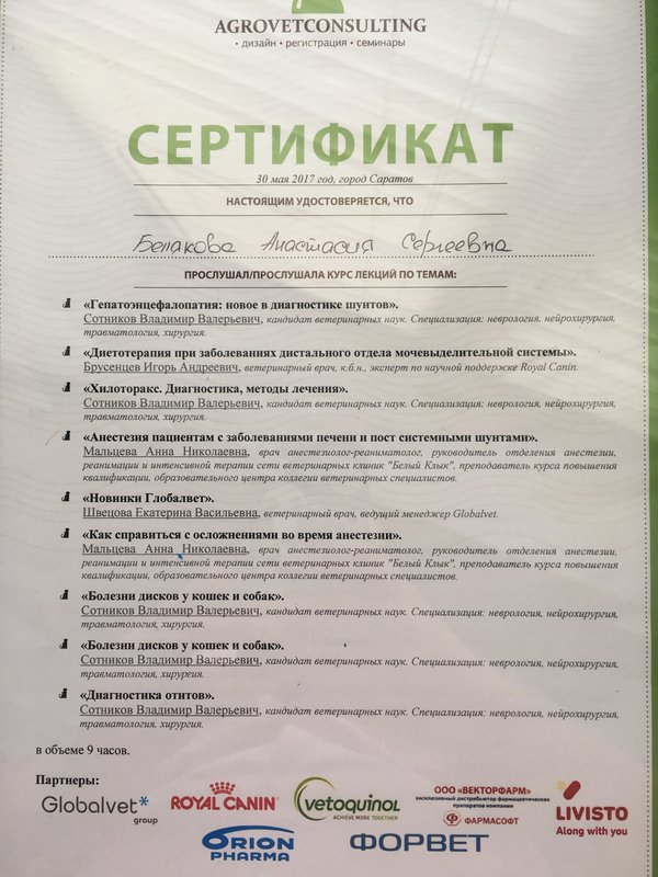 Документ или сертификат