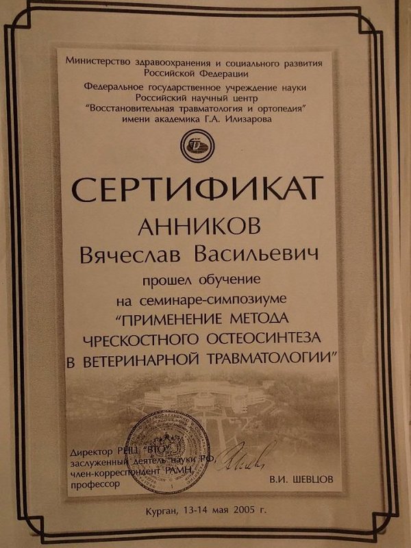 Документ или сертификат