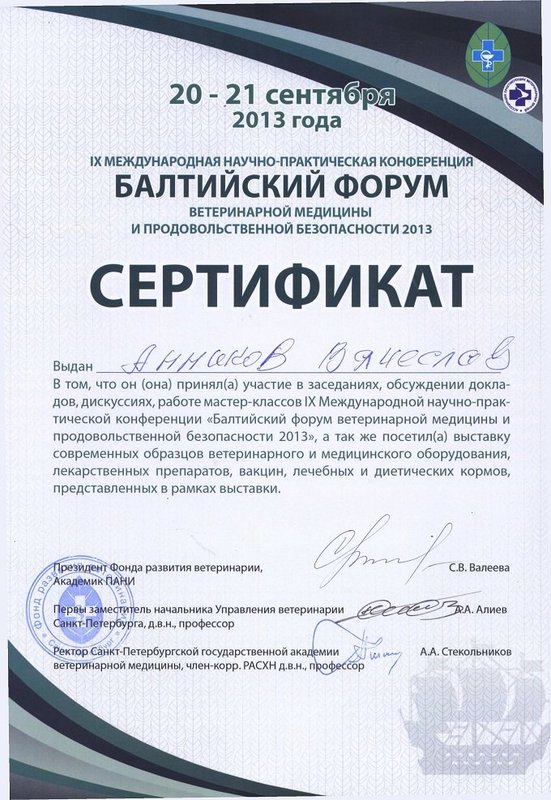 Документ или сертификат