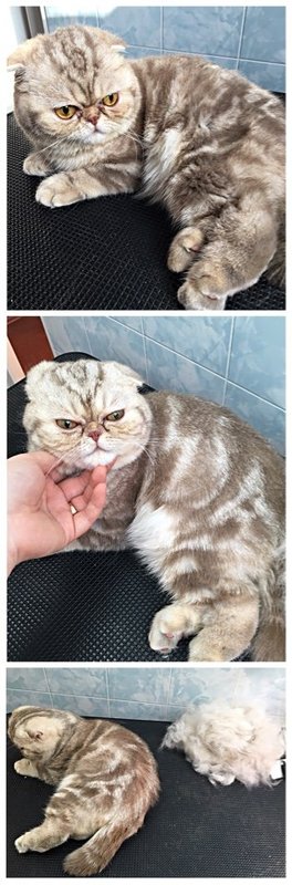 Фото врача