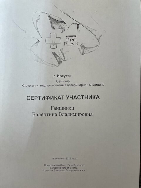 Документ или сертификат