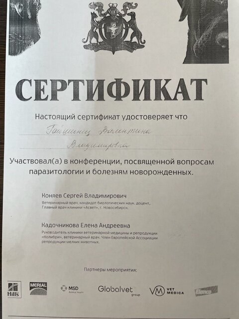 Документ или сертификат
