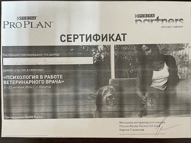 Документ или сертификат