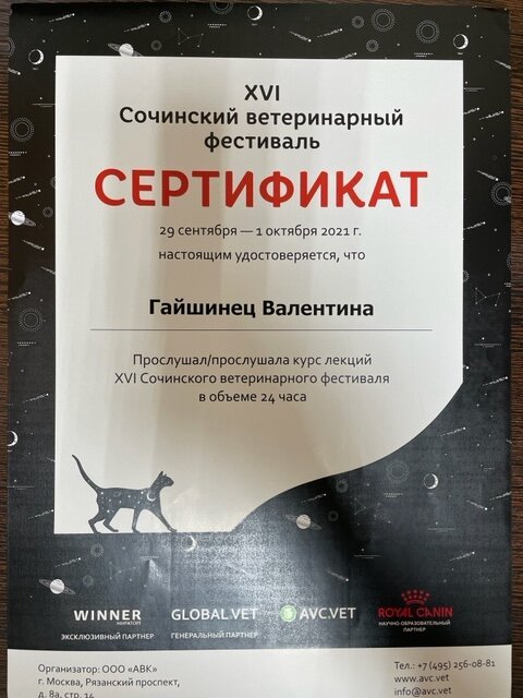 Документ или сертификат