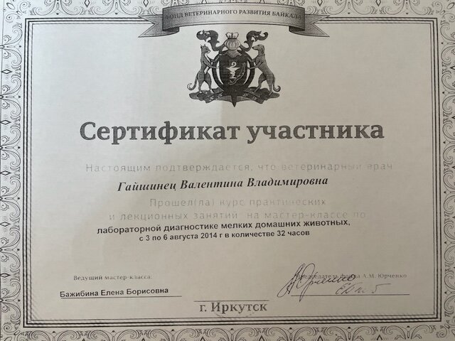 Документ или сертификат
