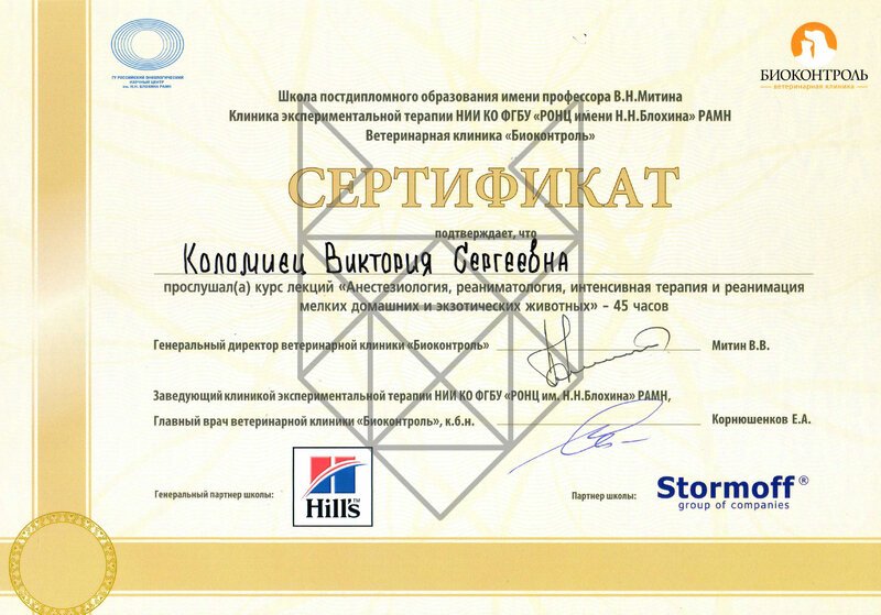 Документ или сертификат